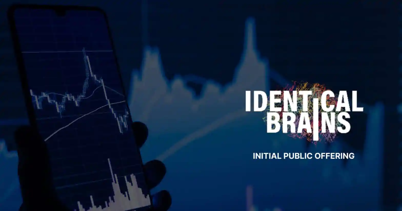 Identical Brains Studios IPO